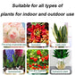 👍[Recomendado por expertos en plantas]🌿Solución líquida activadora de plantas y flores