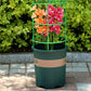 Estacas de soporte desmontables para plantas, flores y frutas