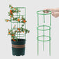 Estacas de soporte desmontables para plantas, flores y frutas